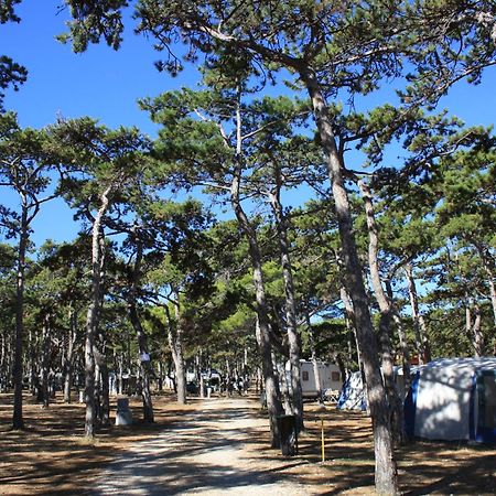 ホテル Camping Planik Ražanac エクステリア 写真
