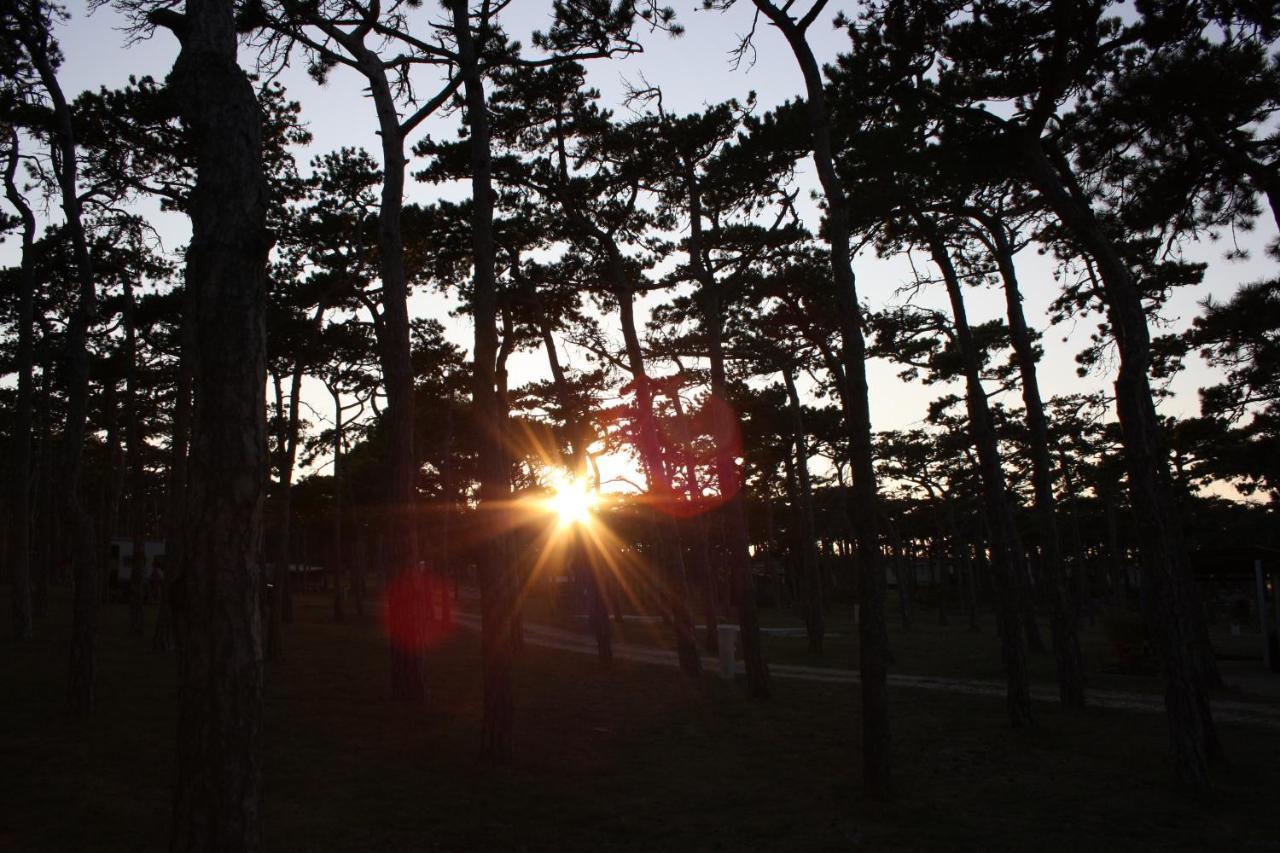 ホテル Camping Planik Ražanac エクステリア 写真