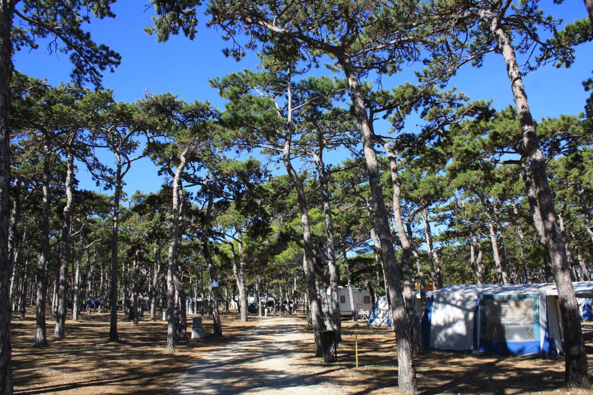 ホテル Camping Planik Ražanac エクステリア 写真